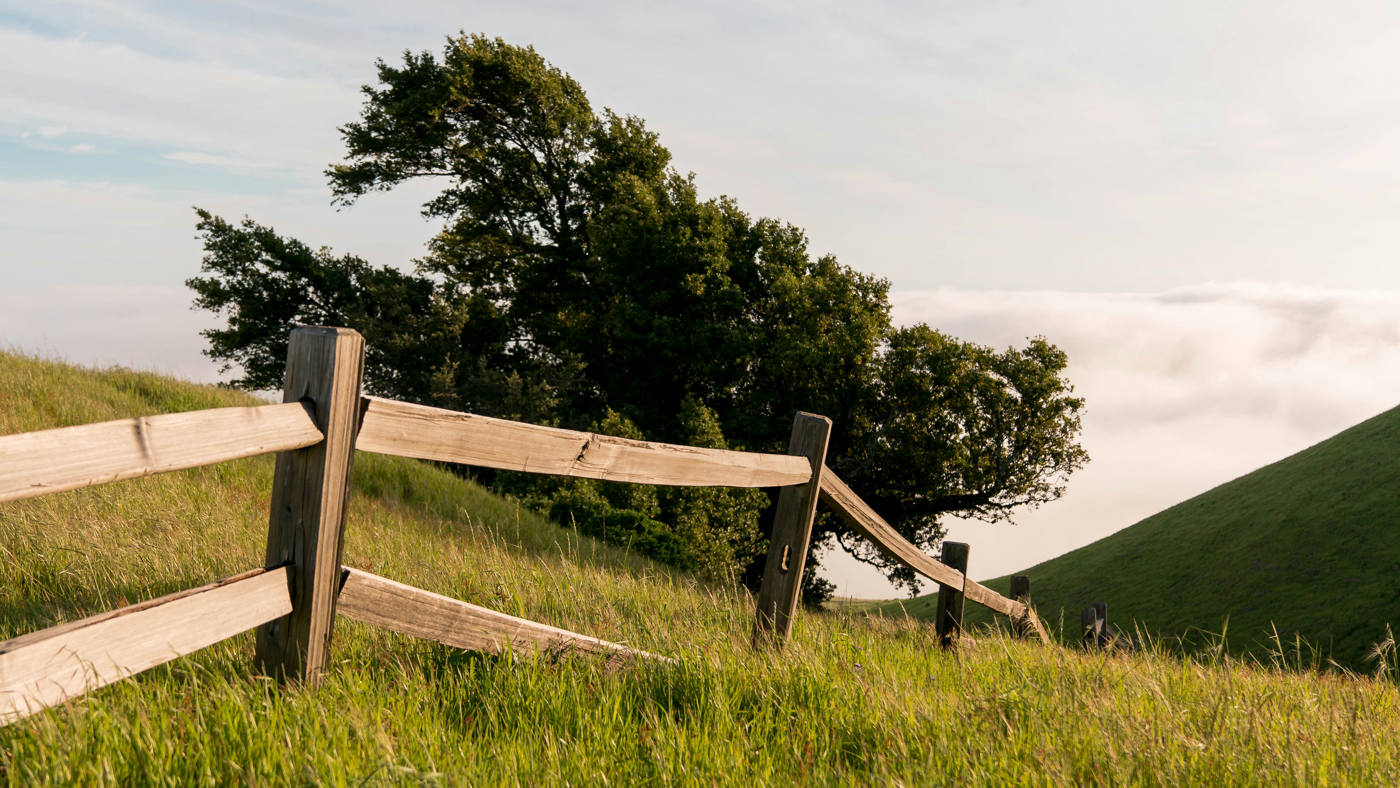 brown wooden fence in a green field during daytime